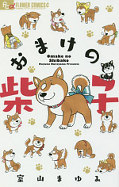 japcover Shiba - Ein Hund zum Verlieben 1