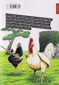 Backcover Rooster Fighter 2