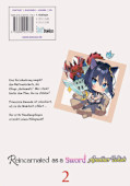Backcover Reincarnated as a Sword: Another Wish 2