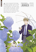 Backcover Fairy Cat 1
