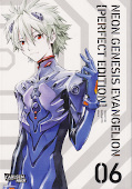Frontcover Neon Genesis Evangelion 6