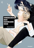 Frontcover Sonnenschein nach rauchblauem Regen 4
