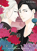 Jap.Frontcover Kei x Yaku: Gefährliche Partner 11