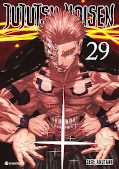 Frontcover Jujutsu Kaisen 29