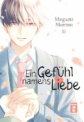 Frontcover Ein Gefühl namens Liebe 16