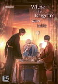 Frontcover Where the Dragon's Rain Falls 10