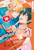 Frontcover What We Do When the Curtain Falls 3