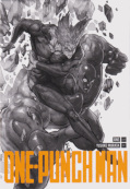 Frontcover One-Punch Man 30