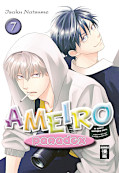 Jap.Frontcover Ameiro Paradox 7