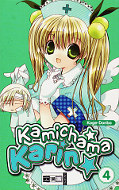 Frontcover Kamichama Karin 4