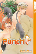 Frontcover Punch Up 3