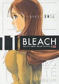 japcover Bleach 11