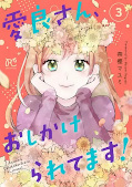 Jap.Frontcover Aira-san in Bedrängnis 3