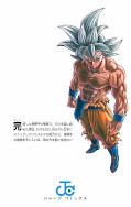 japcover_zusatz Dragon Ball Super 15
