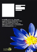 Jap.Backcover Wild Strawberry 4