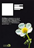 japcover_zusatz Wild Strawberry 7