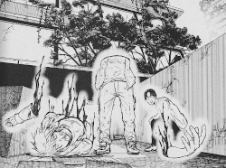 © Manga Cult