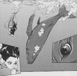 © Tokyopop